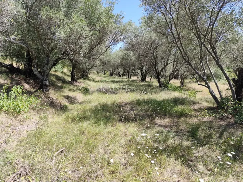 Istria, Buzet - building plot with a view of nature – 3