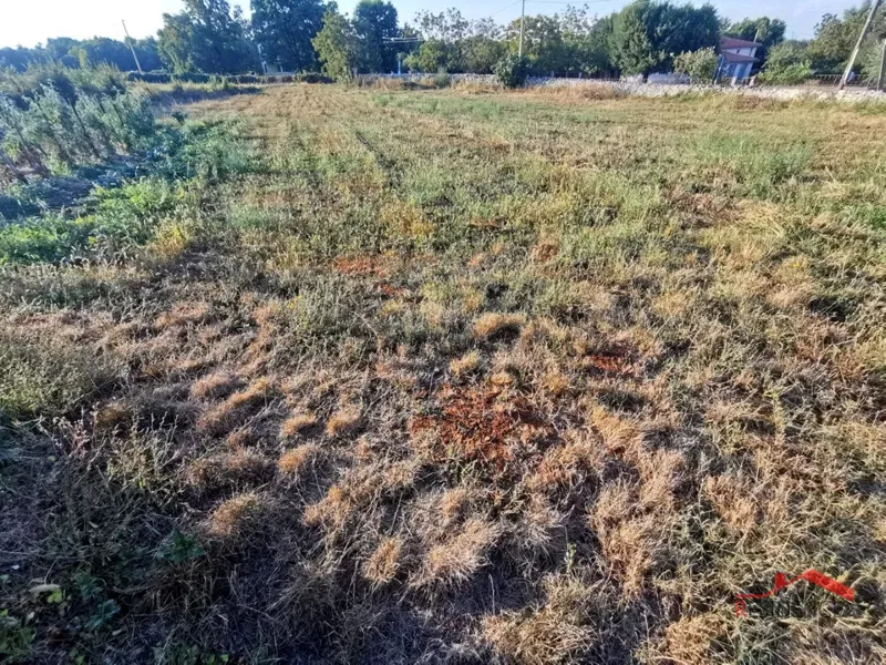 Šajini, building plot – 2