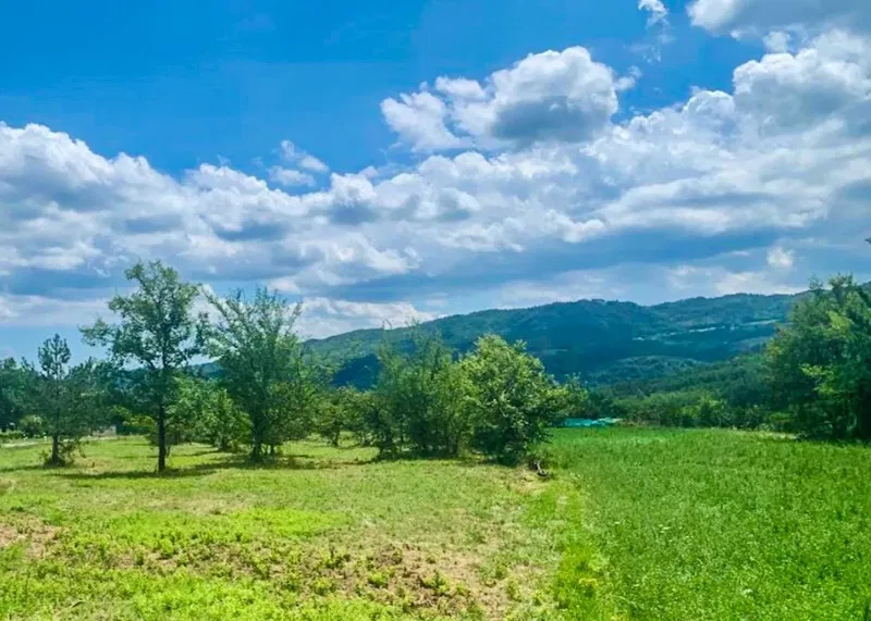 Terreno edificabile in vendita vicino al centro di Pinguente, Buzet – 3