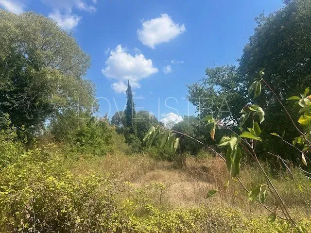 Land Višnjan – 2