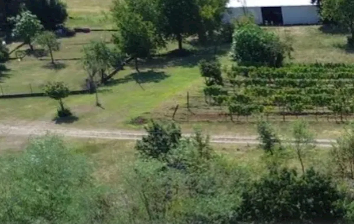 Istra, Labin, zemljište sa građevinskom dozvolom blizu centra