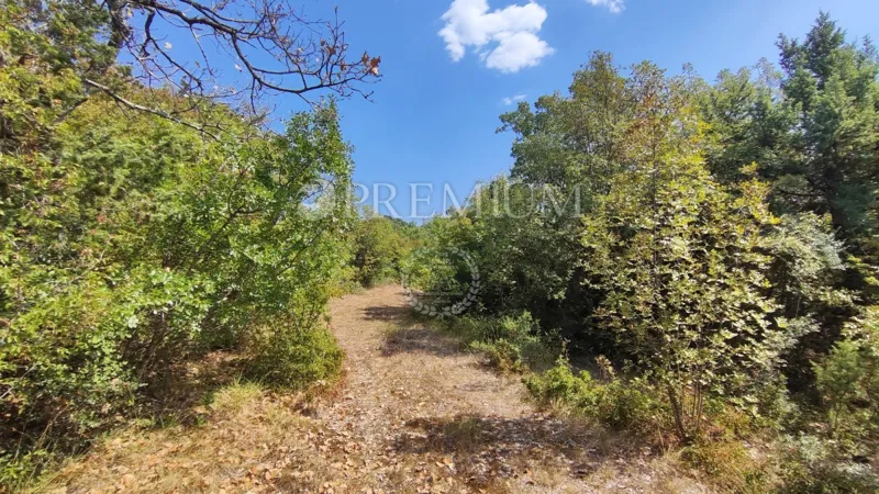 Pinezići, poljoprivredno zemljište 150 m od mora! – 2