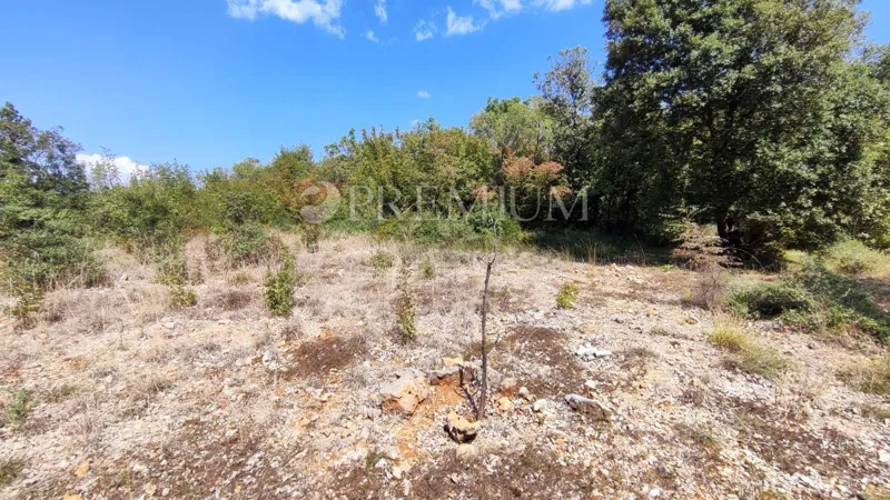 Pinezići, poljoprivredno zemljište 150 m od mora! – 3
