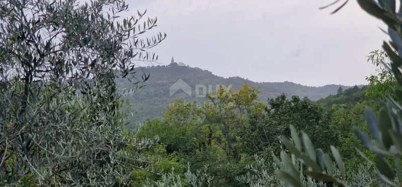 ISTRIA, GRAČIŠĆE - Edifici in pietra con ampio terreno appartato – 3