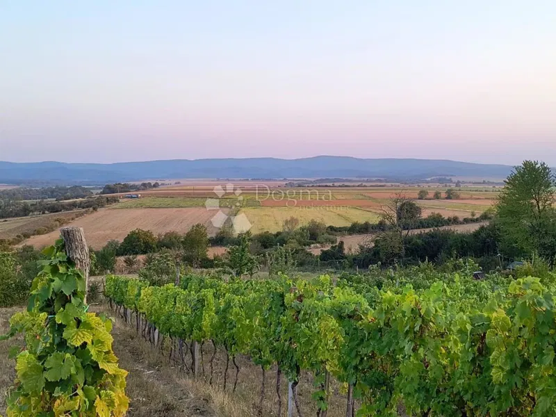Działka Gradište, Kutjevo, gradište, 78.505m2