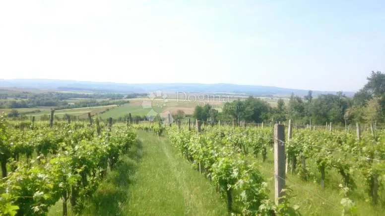 Земля Gradište, Kutjevo, gradište, 78.505m2 – 2