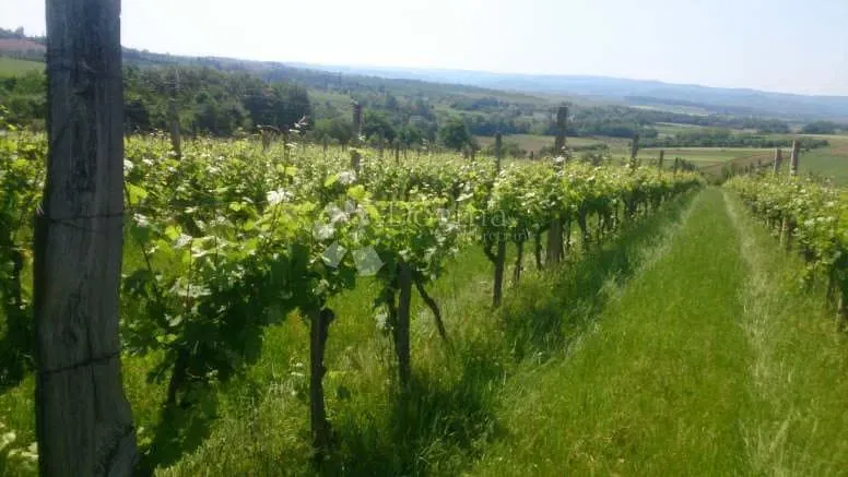 Земля Gradište, Kutjevo, gradište, 78.505m2 – 3