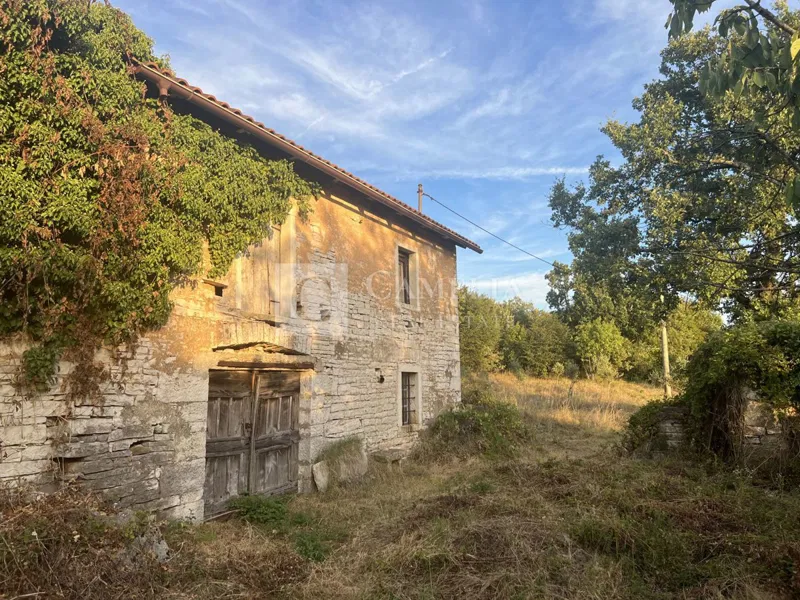 Oprtalj kamena starina sa 4500 m2 zemljišta! – 3