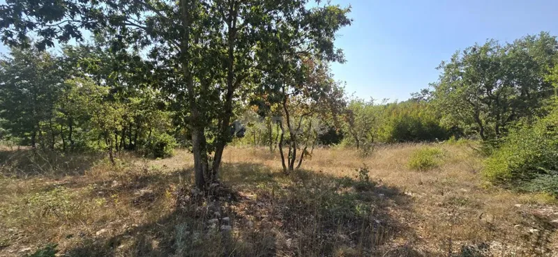 ISTRIA, SVETVINČENAT - Terreno edificabile ai margini della zona edificabile – 2
