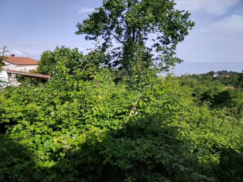 Zemljišče Veprinac, Opatija - Okolica, 759m2 – 3