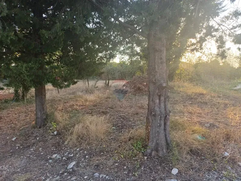 Telek Šegotići – 3