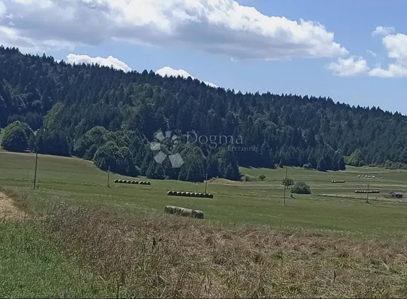 Land Vrhovine, 4.287m2 – 2