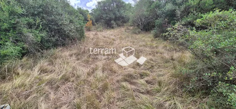 Istria, Pula, Medulinska street, agricultural land 6200 m2, #sale – 2