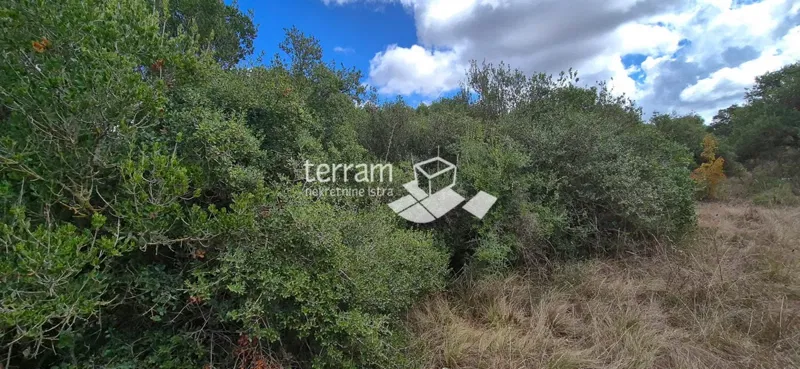 Istria, Pula, Medulinska street, agricultural land 6200 m2, #sale – 3