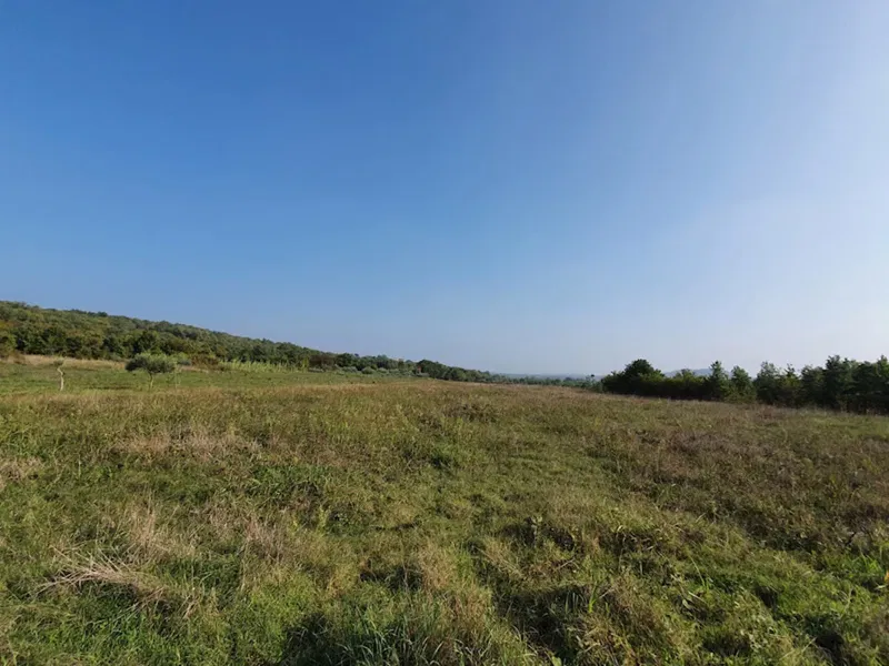 PZ-226, Terreno Agricolo Vicino alla Città di Parenzo, 44.885 m², in un Unico Lotto – 2