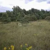 Zemljišče Bale – 3