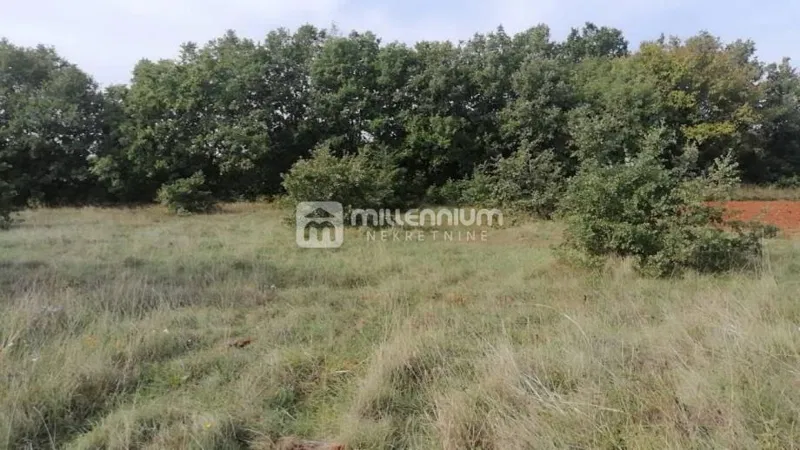Istra, okolica Bala, poljoprivredno zemljište od 9.483m2 – 2