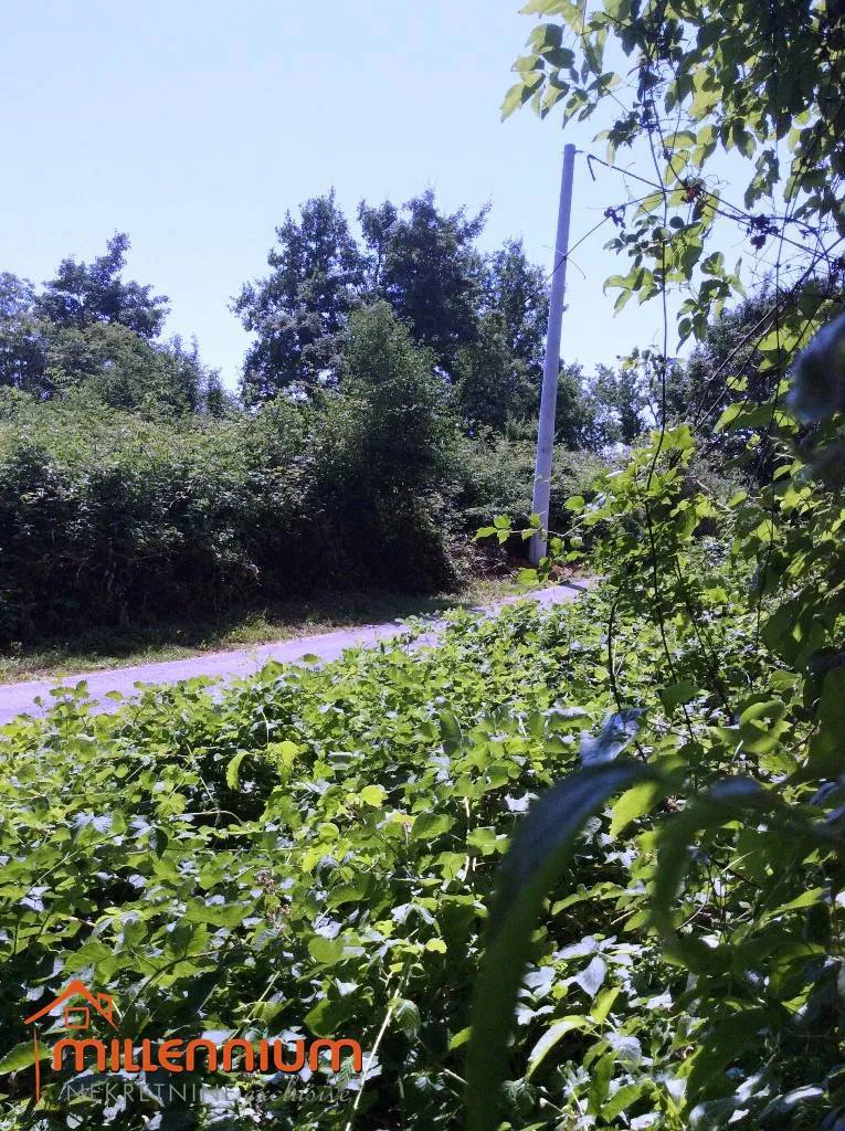 Zemljišče Poljane – 2
