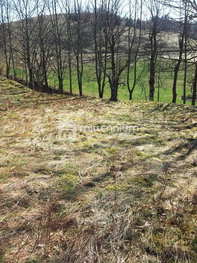 Grundstück Begovo Razdolje, Mrkopalj, 5.000m2 – 2
