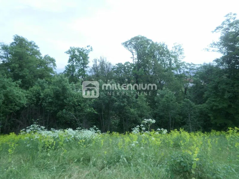 Čavle, 2.376m2 građevinskog zemljišta – 2