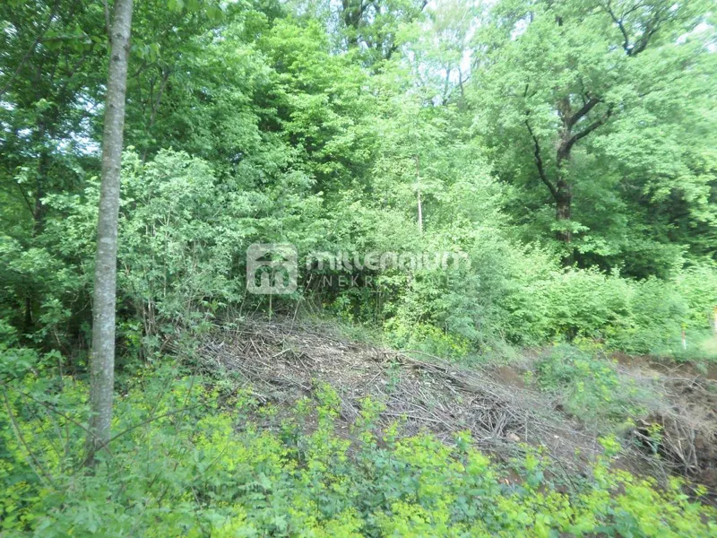 Čavle, 2.376m2 građevinskog zemljišta – 3