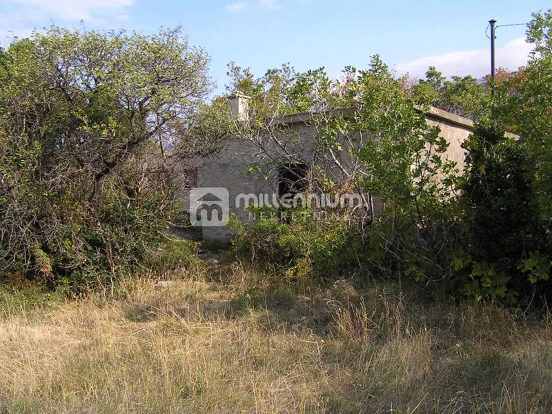 Stinica, prizemnica i starina na zemljištu od 2936m2 – 2