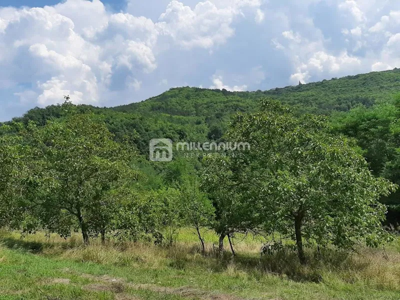 Istra, Sovinjak, 1.373 m2 građevinskog i 55.000m2 poljoprivrednog – 2