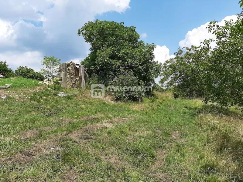 Istra, Sovinjak, 1.373 m2 građevinskog i 55.000m2 poljoprivrednog – 3