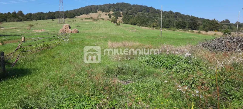 Hiša Ravna Gora – 3