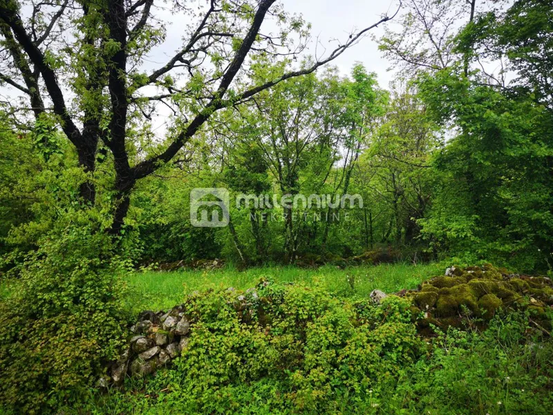 Zemljišče Ročko Polje – 2