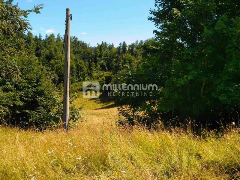 Gorski Kotar, Vrata, 35.159m2 poljoprivrednog zemljišta – 2