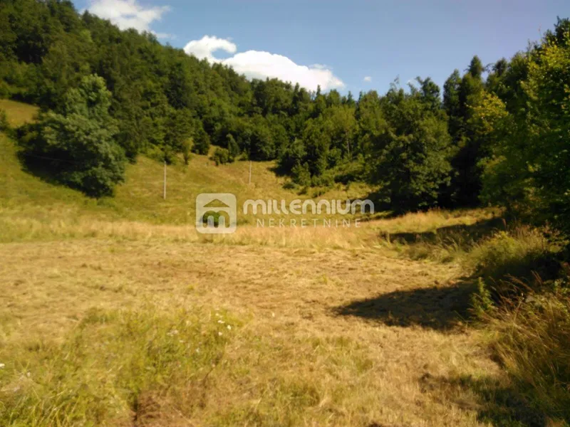 Gorski Kotar, Vrata, 35.159m2 poljoprivrednog zemljišta – 3
