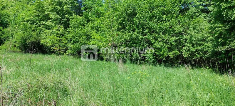 Zemljišče Veli Brgud – 3