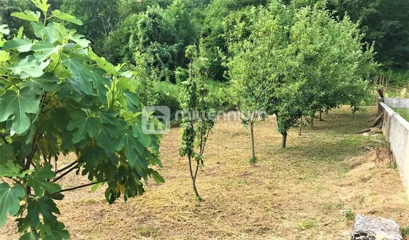 Rukavac, 335m2, započeta gradnja kuće – 2