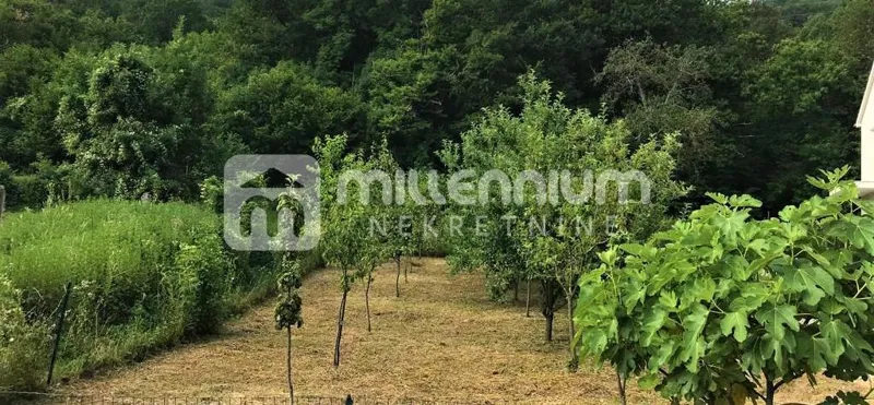 Rukavac, 335m2, započeta gradnja kuće – 3