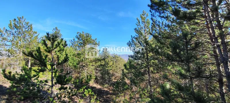 Istra, okolica Pazina, zemljište, 214.230m2 – 2
