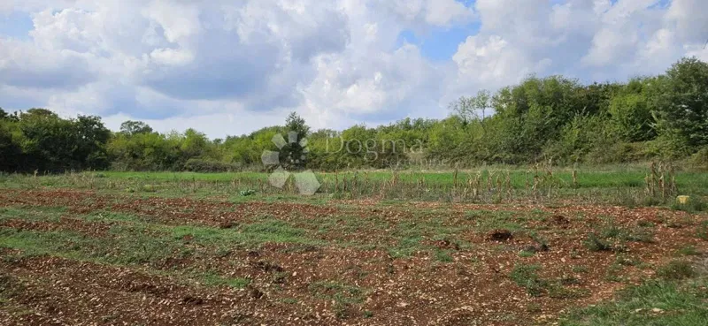 Terreno Galižana, Vodnjan, 3.021m2 – 2