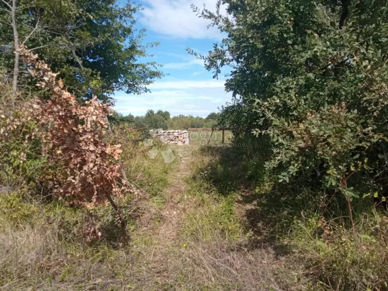 Föld Červari, Kanfanar, 25.339m2 – 2