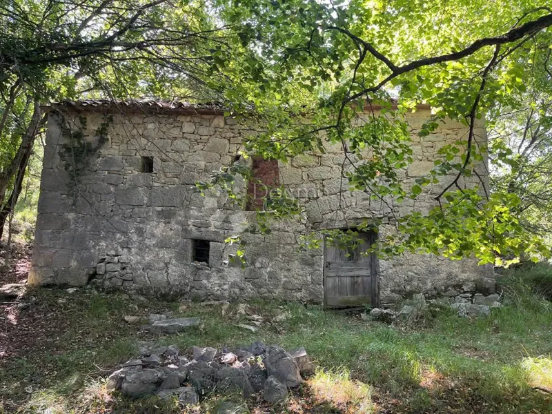 STARINA SA POTENCIJALOM ZA ODLIČAN PRIHOD