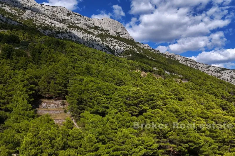 Land with sea view and building permit – 3