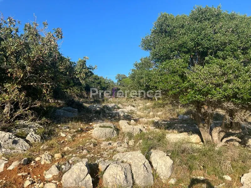 Telek Novalja – 3