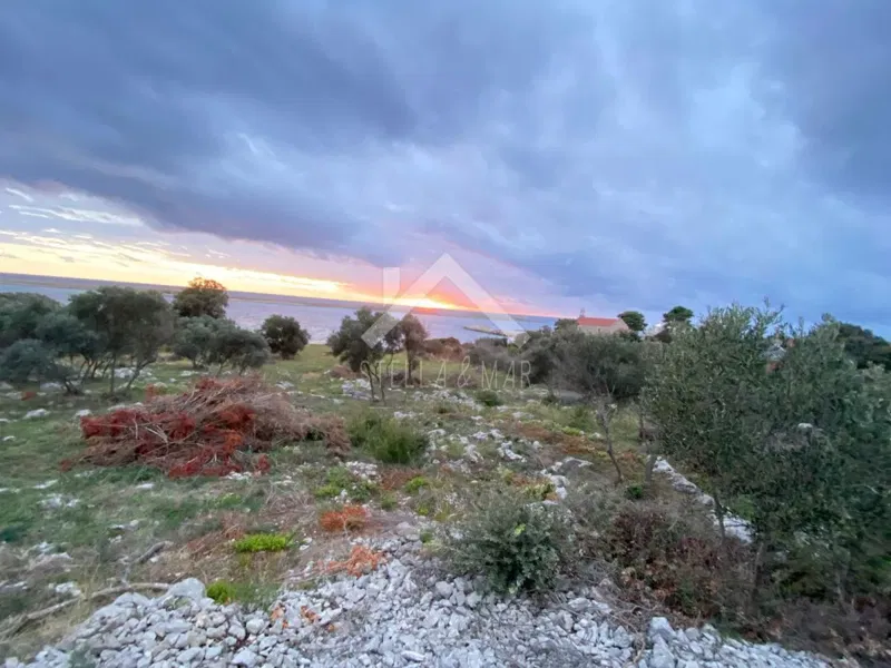 Terreno Premuda – 3