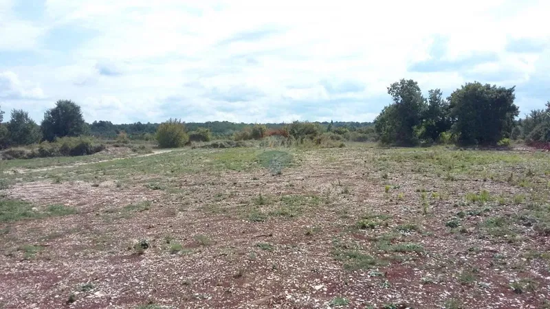 Земельный участок строительного назначения Kanfanar, 796m2 – 3