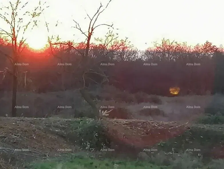 Building land for sale, Tar (Tar-Vabriga) – 2