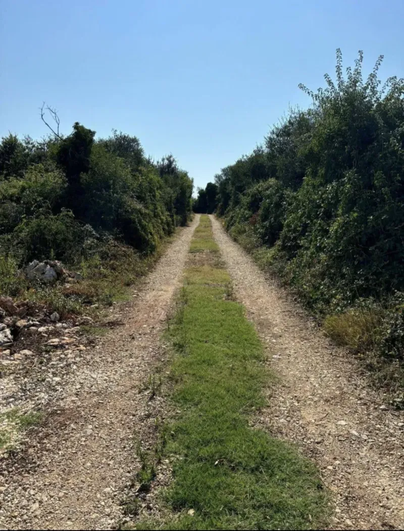 Land Šišan, Ližnjan, 4.300m2 – 3