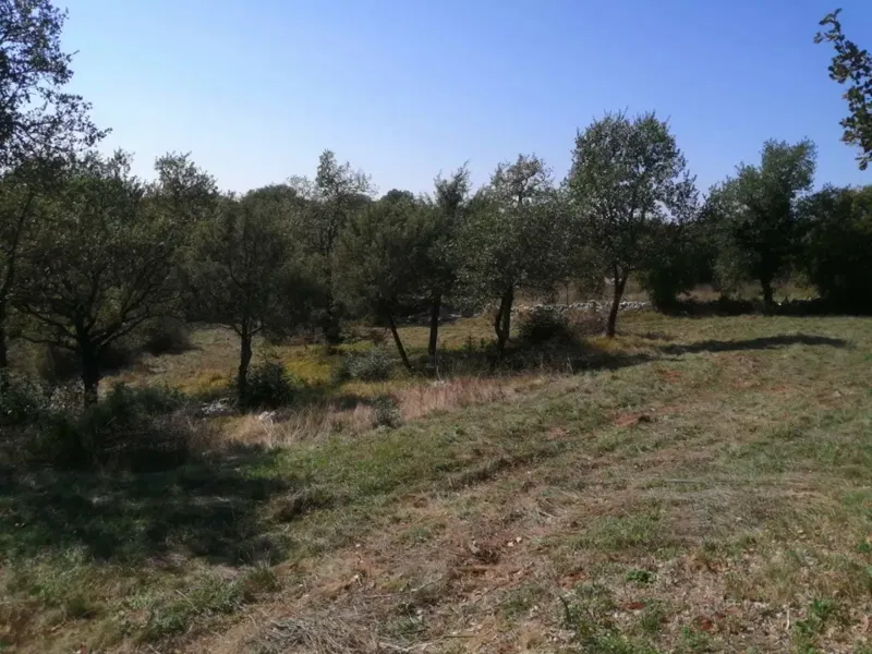 Land Bale, 518m2 – 3