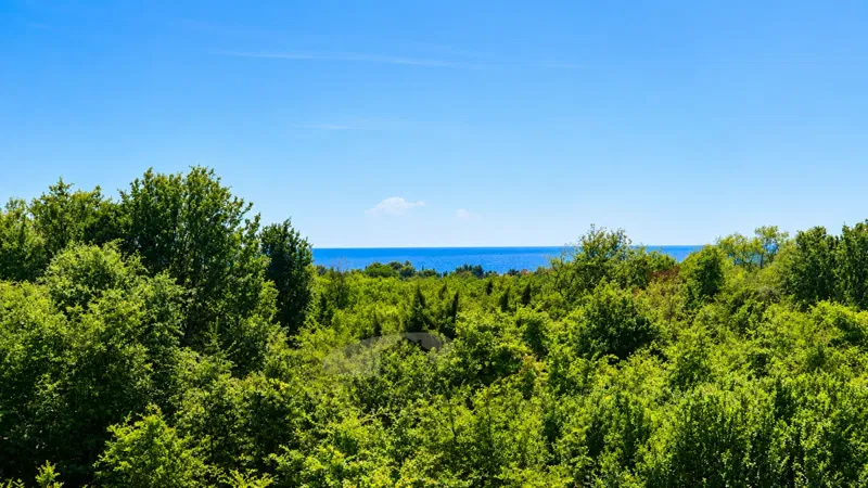 Lakás Poreč – 2