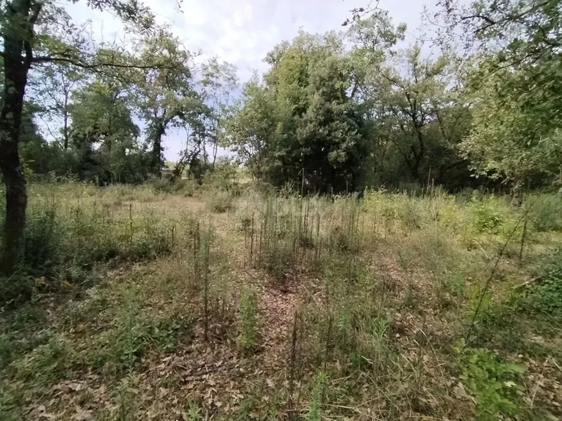 ISTRIA, PEROJ - Agricultural land 3346 m2 near the sea! – 3