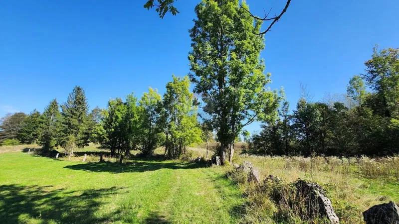 Telek Jablan – 2