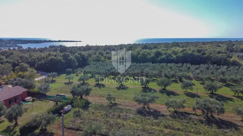 Novigrad, surroundings! Beautiful villa under construction 700 m from the sea! – 2